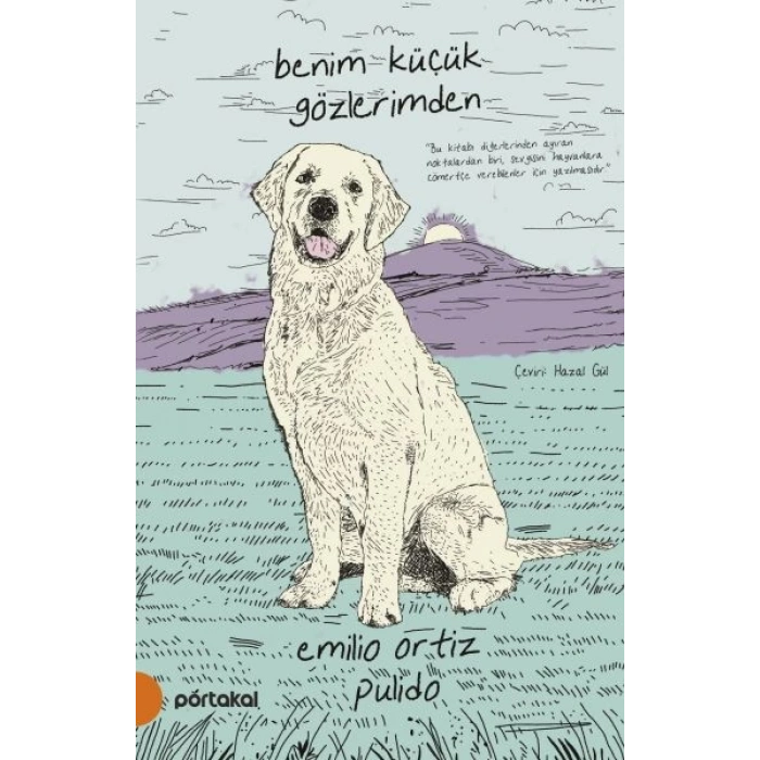 Benim Küçük Gözlerimden