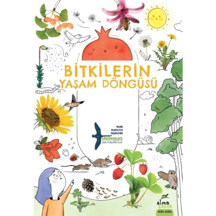 lerin Yaşam Döngüsü