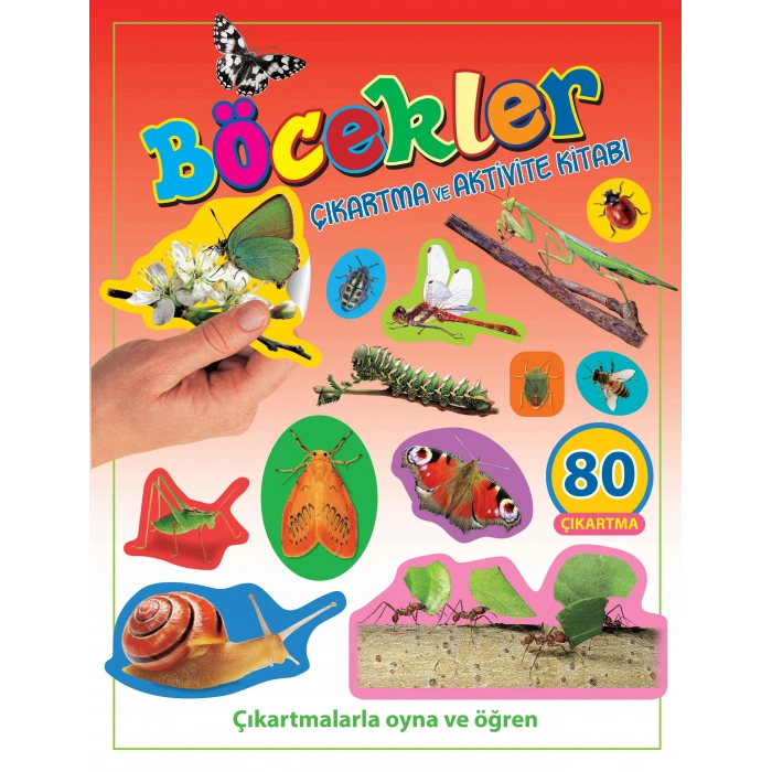 Böcekler - Çıkartma ve Aktivite Kitabı