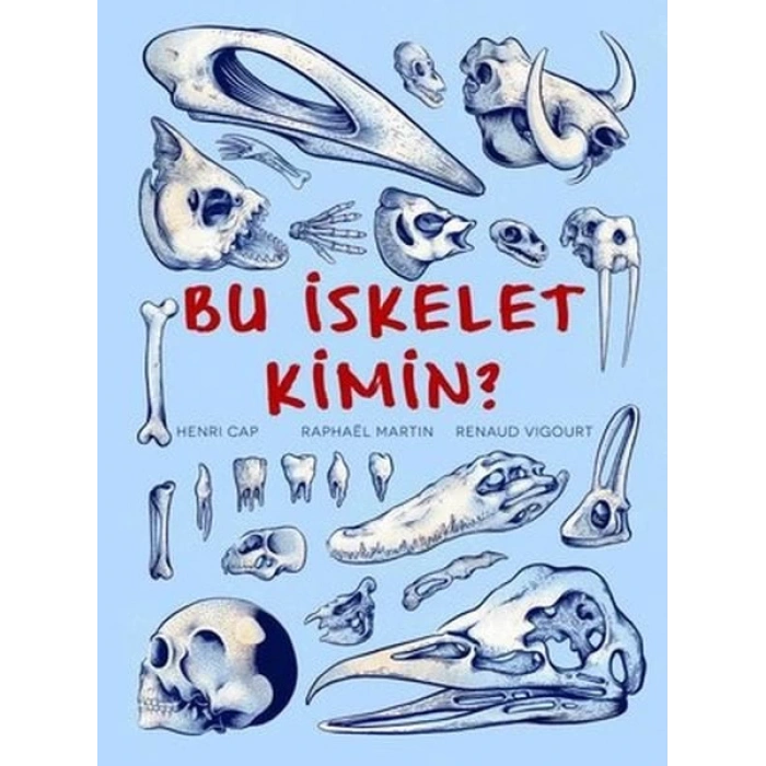 Bu İskelet Kimin?