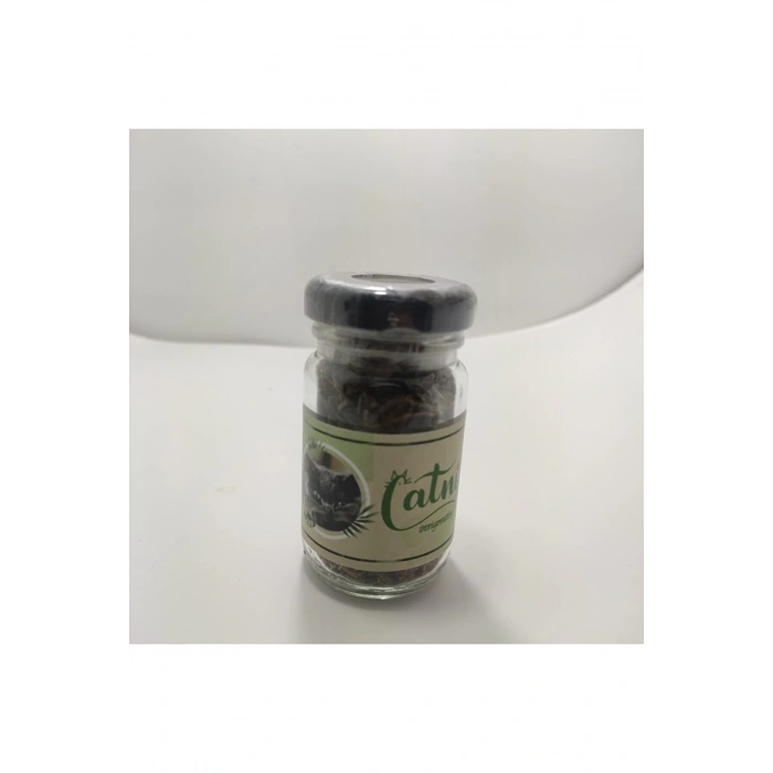 Catnip Doğal Kedi Otu - Kedi Nanesi