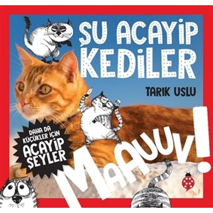 Daha Küçükler İçin Şu Acayip Kediler