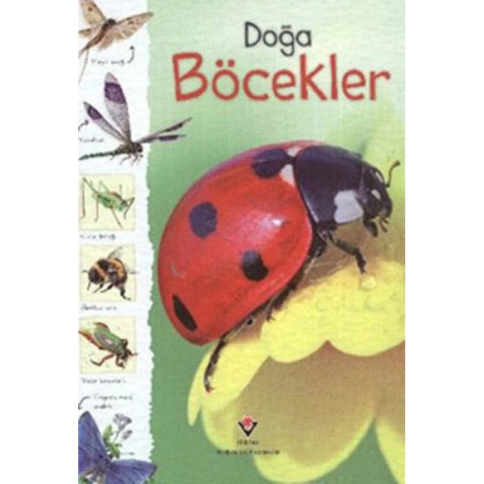 Doğa - Böcekler