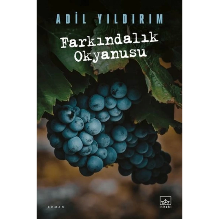 Farkındalık Okyanusu