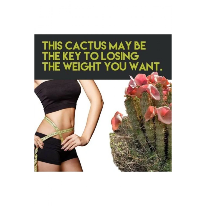 Hoodia Sıkılaştırıcı ve Jel 150 ml / Hoodia Firming Slimming Gel 150 ml