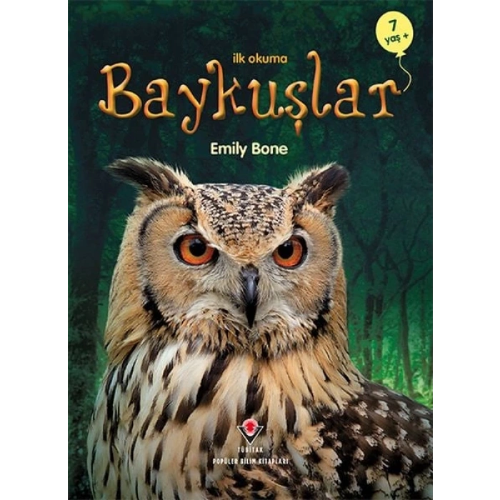 İlk Okuma - Baykuşlar