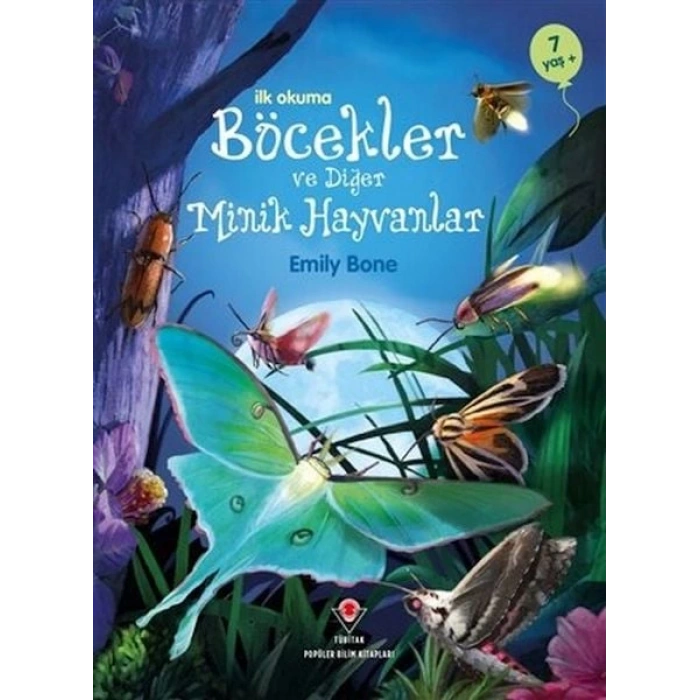 İlk Okuma - Böcekler ve Diğer Minik Hayvanlar