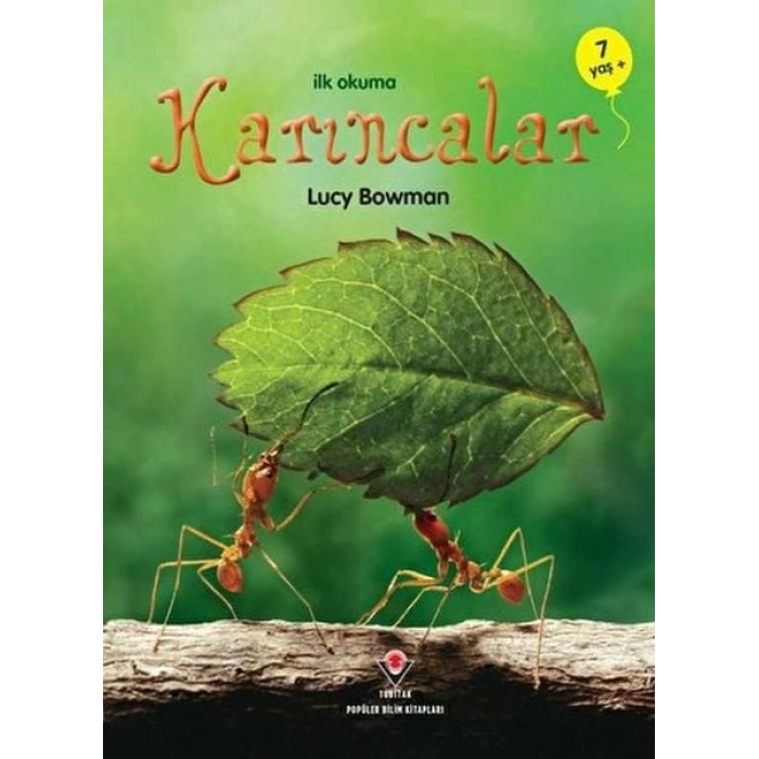İlk Okuma - Karıncalar