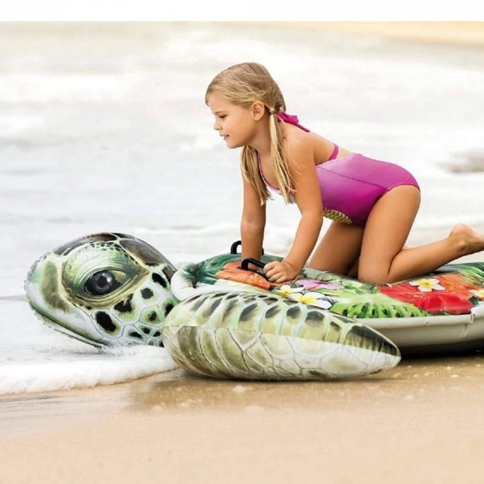 Kaplumbağa Bin Git  191x170 Cm