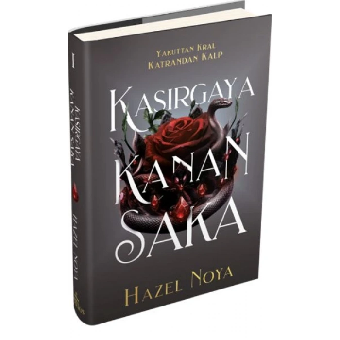 Kasırgaya Kanan Saka 1 (Ciltli)