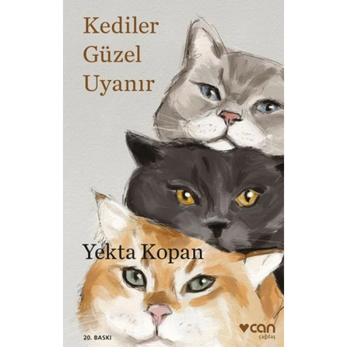 Kediler Güzel Uyanır