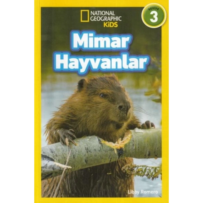 Kids - Mimar Hayvanlar - Seviye 3