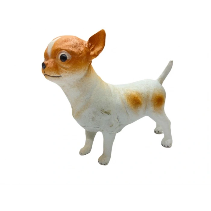 Köpekler - Chihuahua / Şivava Cinsi Köpek