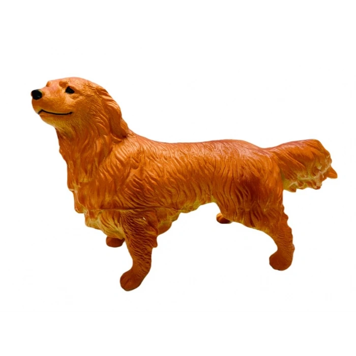 Köpekler - Collie Cinsi Köpek