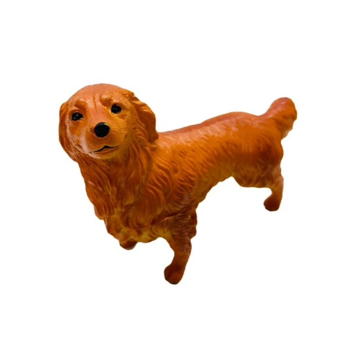 Köpekler - Collie Cinsi Köpek