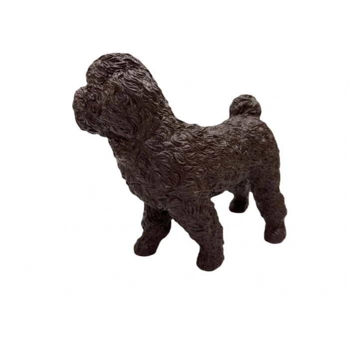 Köpekler - Poodle Cinsi Köpek