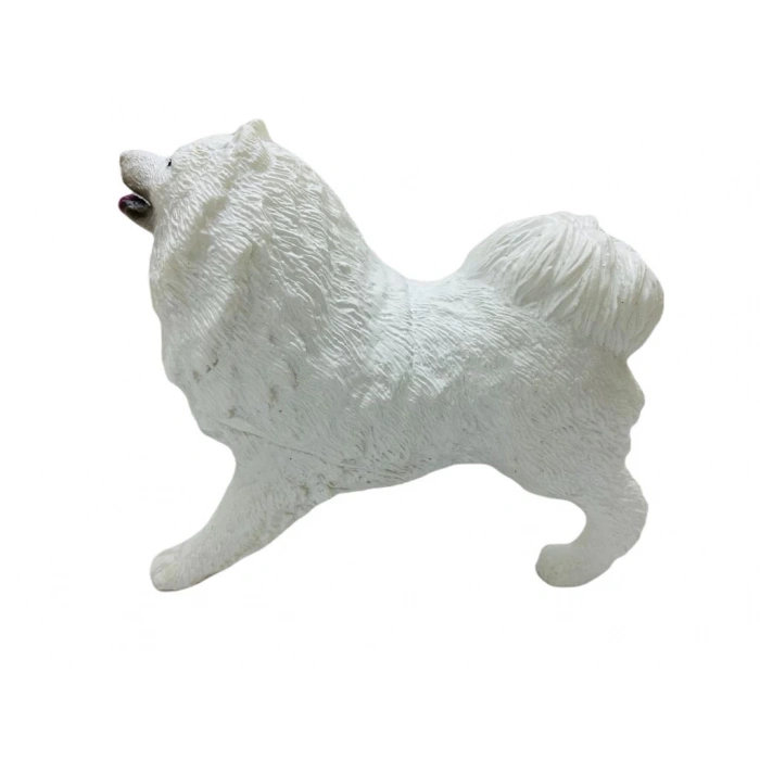 Köpekler - Samoyed Cinsi Köpek