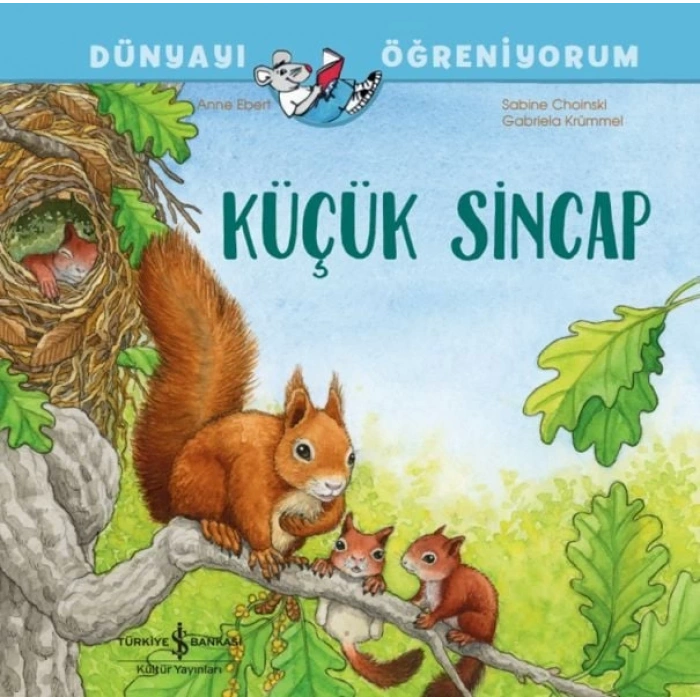 Küçük Sincap Dünyayı Öğreniyorum