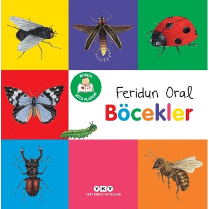 Minik larım – Böcekler