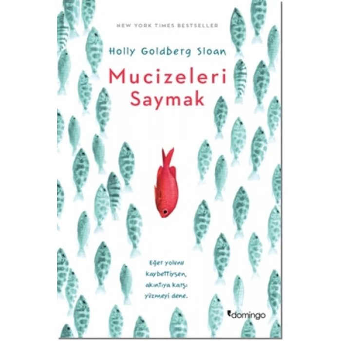 Mucizeleri Saymak