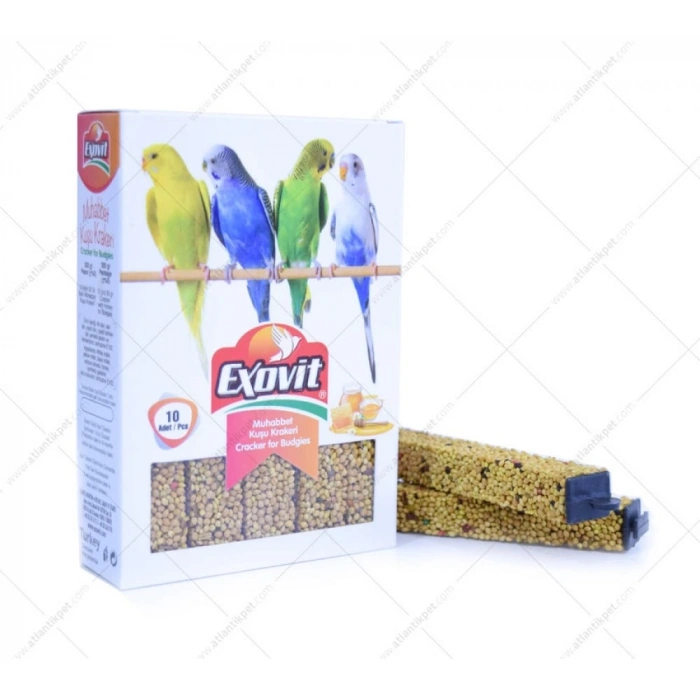 Muhabbet Kuş Kri 10 lu