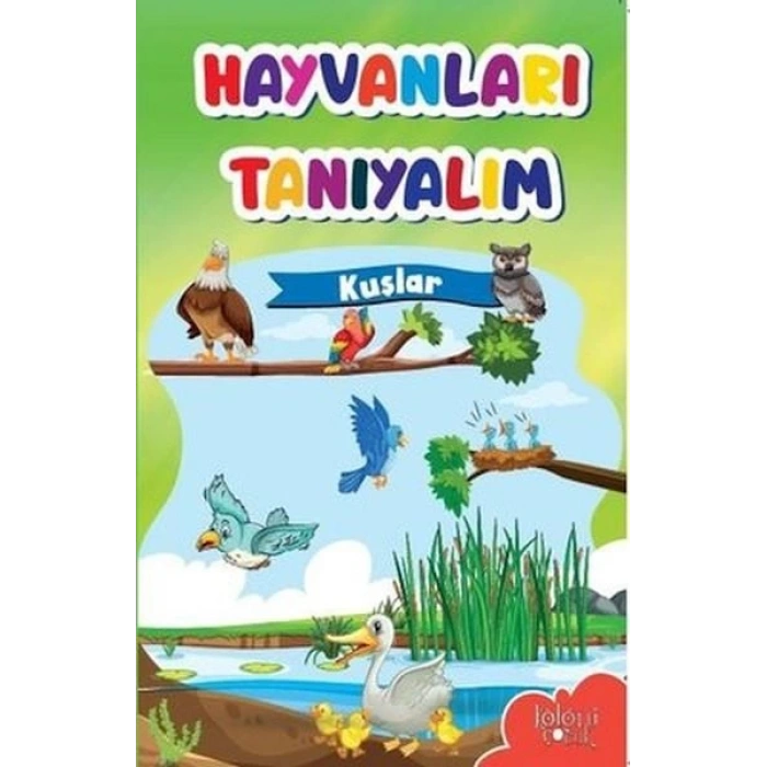 Muhteşem Çizimler ve Kolay Anlatım ile Hayvanları Tanıyalım Kuşlar
