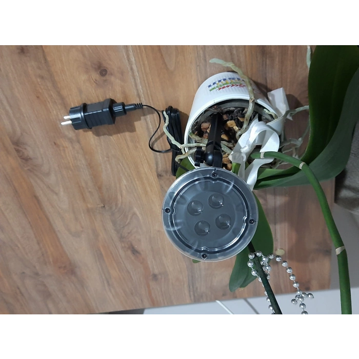 Peri Led Işık 5 metre BEYAZ  Dekor Lambası 50 Ledli