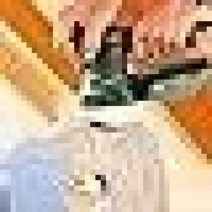 PEX 300 AE Eksantrik Zımpara 125 mm