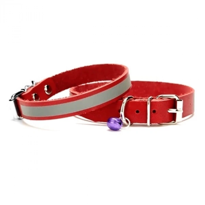 Reflektörlü Kedi ve Yavru Köpek Tasması 1,0x19 cm Kırmızı Small