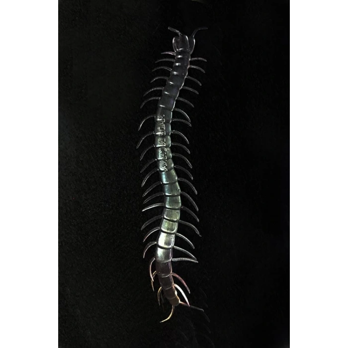 Şeffaf Renk Karanlıkta Parlayan Fosforlu Kırkayak 13 cm 1 Adet