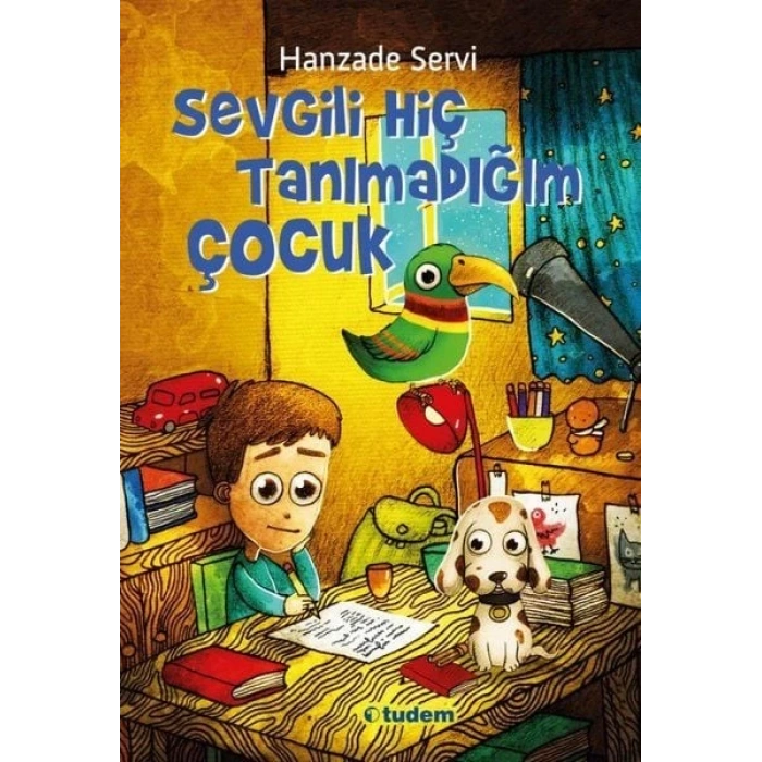 Sevgili Hiç Tanımadığım Çocuk