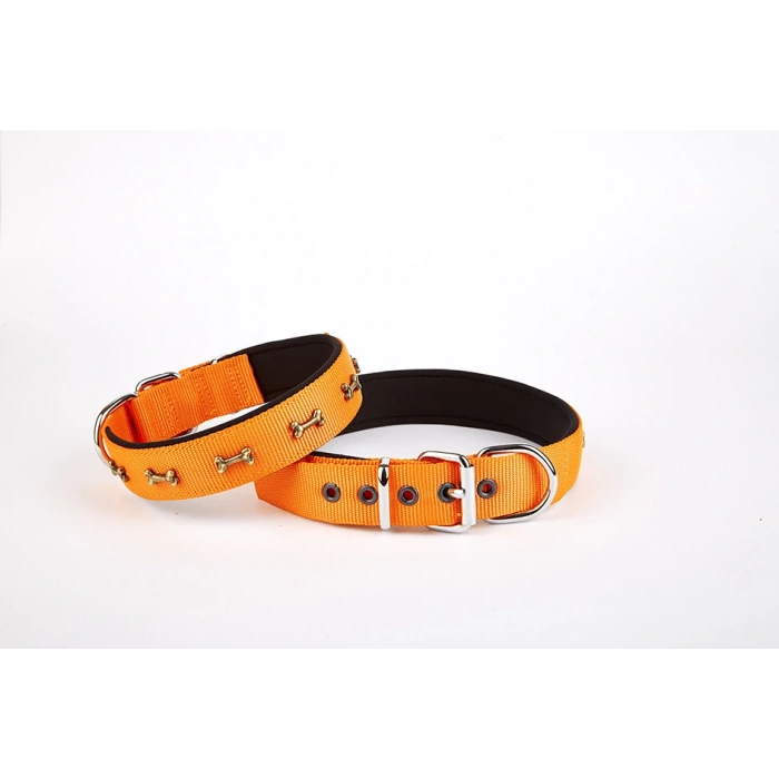 Softlu Kemik Desenli Köpek Tasması 2 cm x 45 cm Tcu