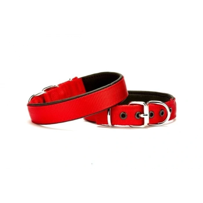 Softlu Köpek Boyun Tasması 2 cm x 40 cm Kırmızı