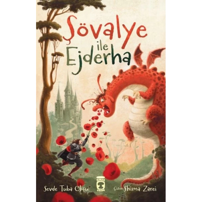 Şövalye ile Ejderha