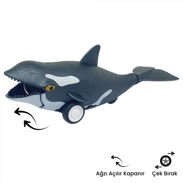 Sürtmeli Hayvanlar Serisi - H-53 - Orka Balina