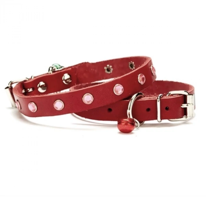 Taşlı Kedi ve Yavru Köpek Tasması 1,0x19 cm Kırmızı Small