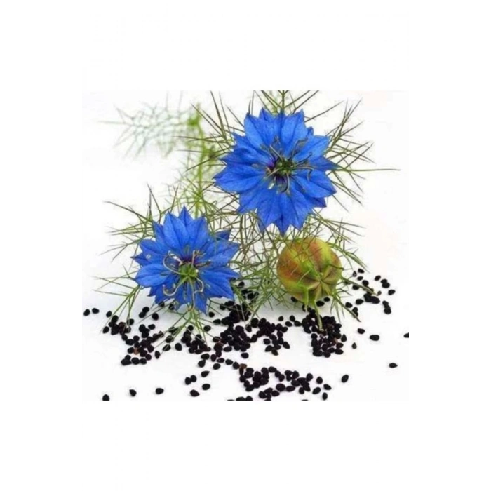 Tekno Trust Kavanoz Çörek Otu Kremi 2 Adet 100 ml