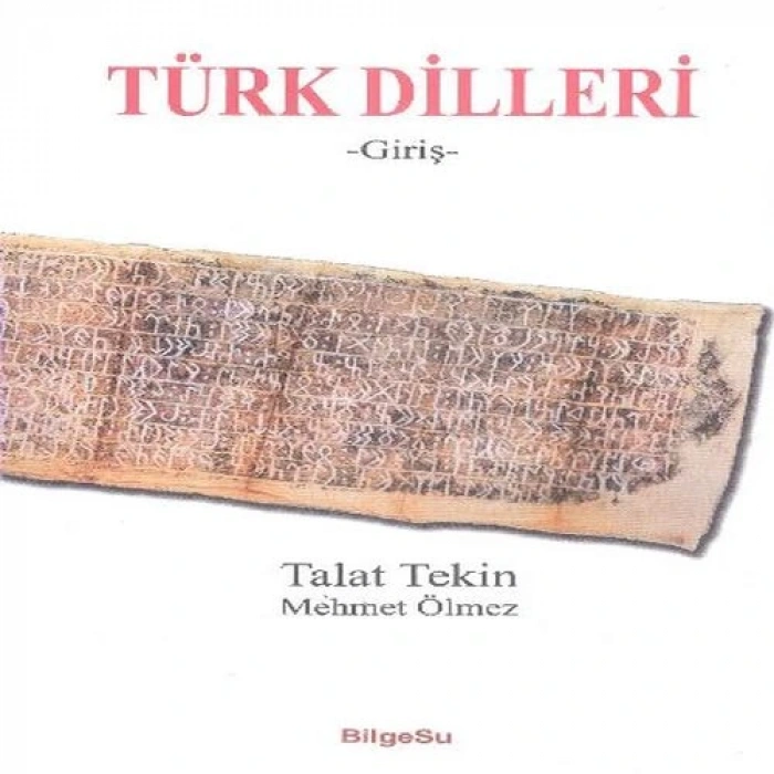 Türk Dilleri