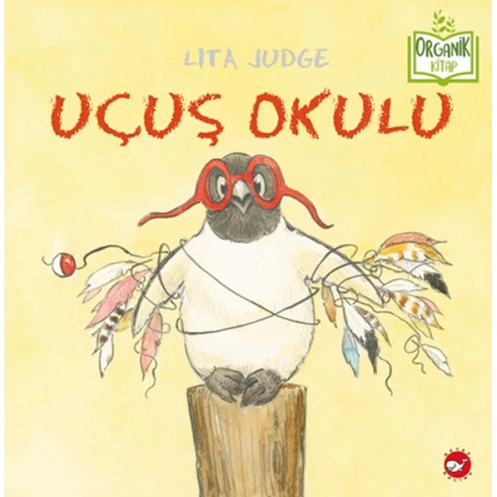 Uçuş Okulu - Organik lar