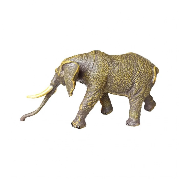 Vahşi Hayvanlar Serisi