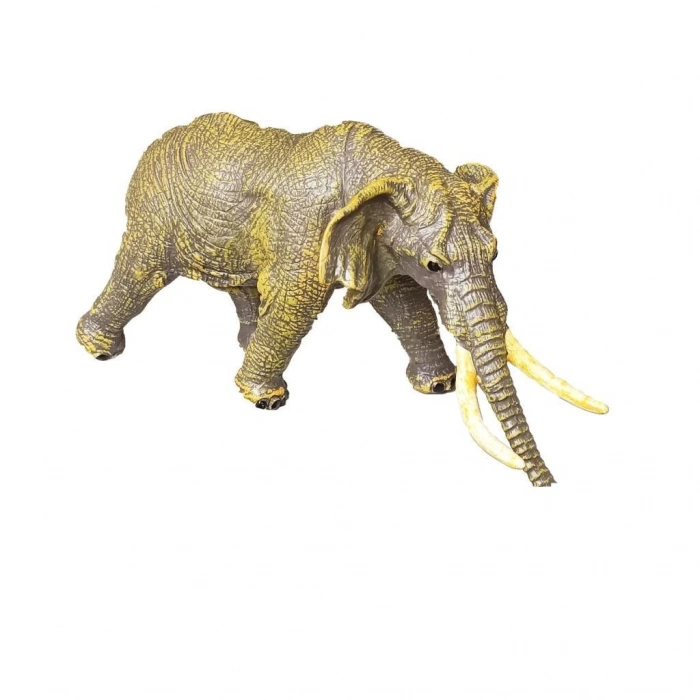 Vahşi Hayvanlar Serisi