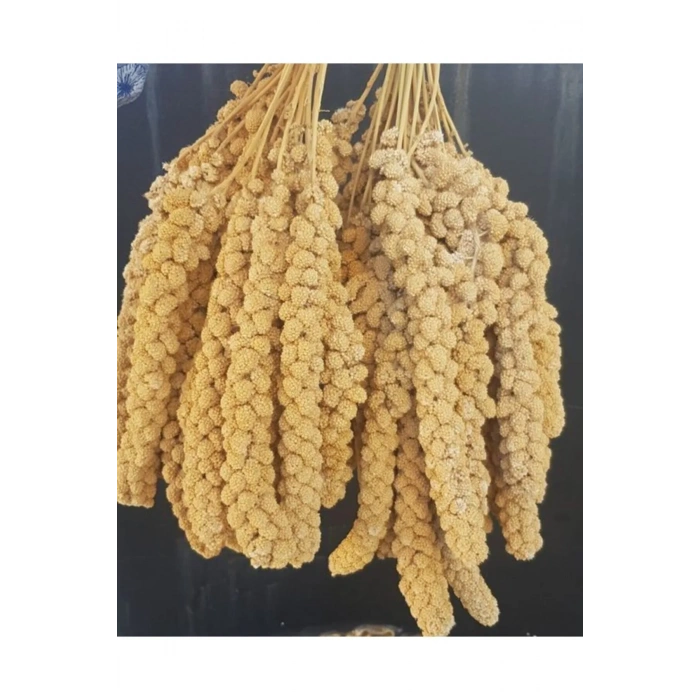 Vitaking Kuşlar İçin Doğal Sarı Dal Darı 100 gr