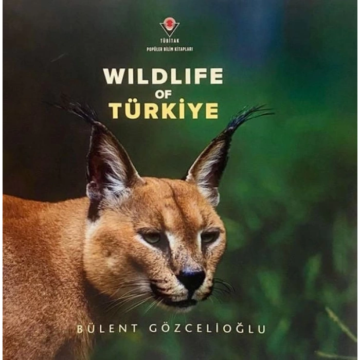 Wıldlıfe Of Türkiye