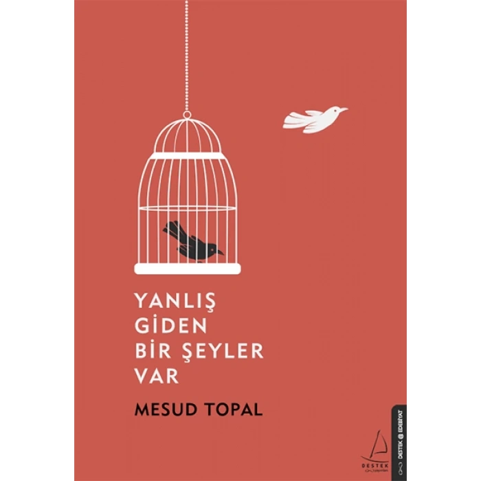 Yanlış Giden Bir Şeyler Var