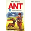 Ant