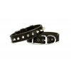 Çivi Desenli Köpek Tasması 2,5*50 cm Siyah