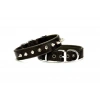 Çivi Desenli Köpek Tasması 2,5*50 cm Siyah