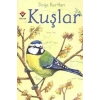 Doğa Kartları - Kuşlar