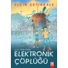 Elektronik Çöplüğü