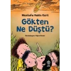 Gökten Ne Düştü?